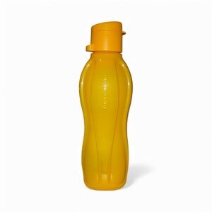 New Tupperware Water Bottle
